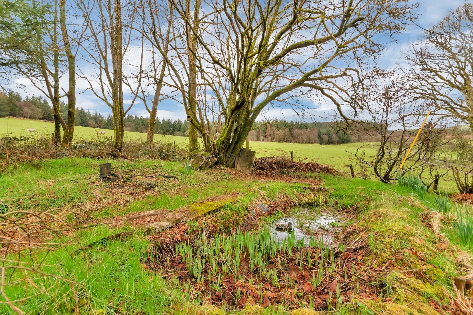 Foel Goch,, Llanidloes, SY18 6PS Estate Agents & Auctioneers